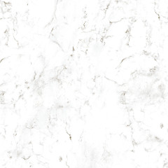 Roman-Marble-Swatch